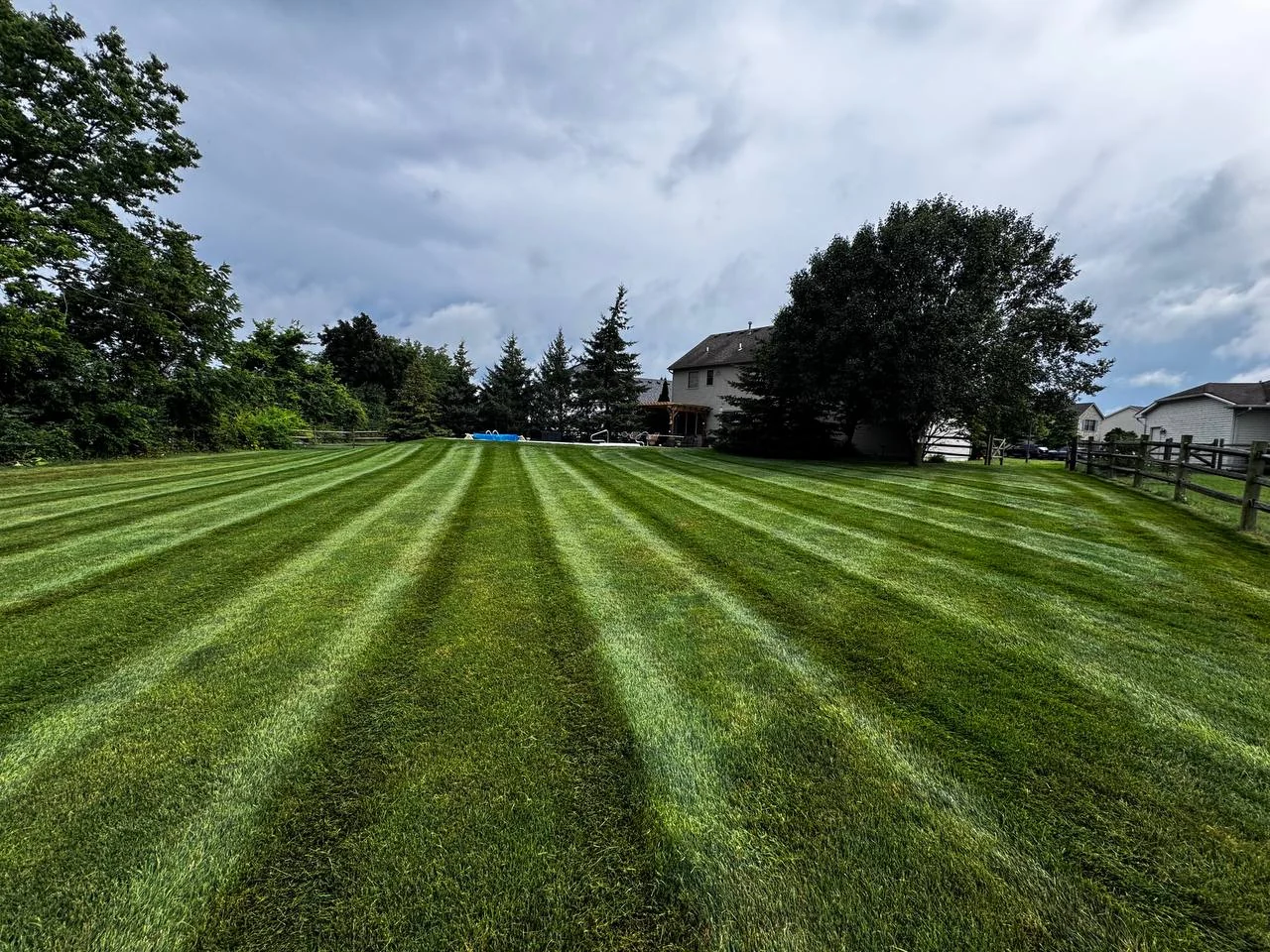 Terramorph Lawn maintenance and clean edging